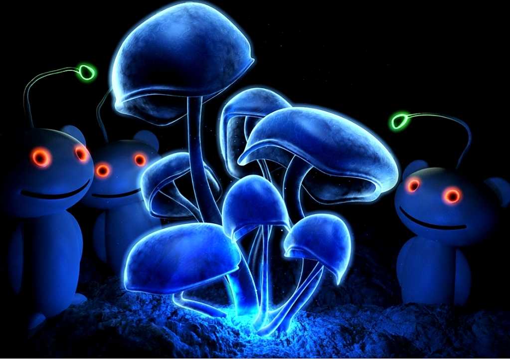 Светящиеся обои: разновидности и применение