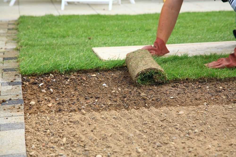 Как правильно уложить искусственный газон во дворе дома на даче: рекомендации
