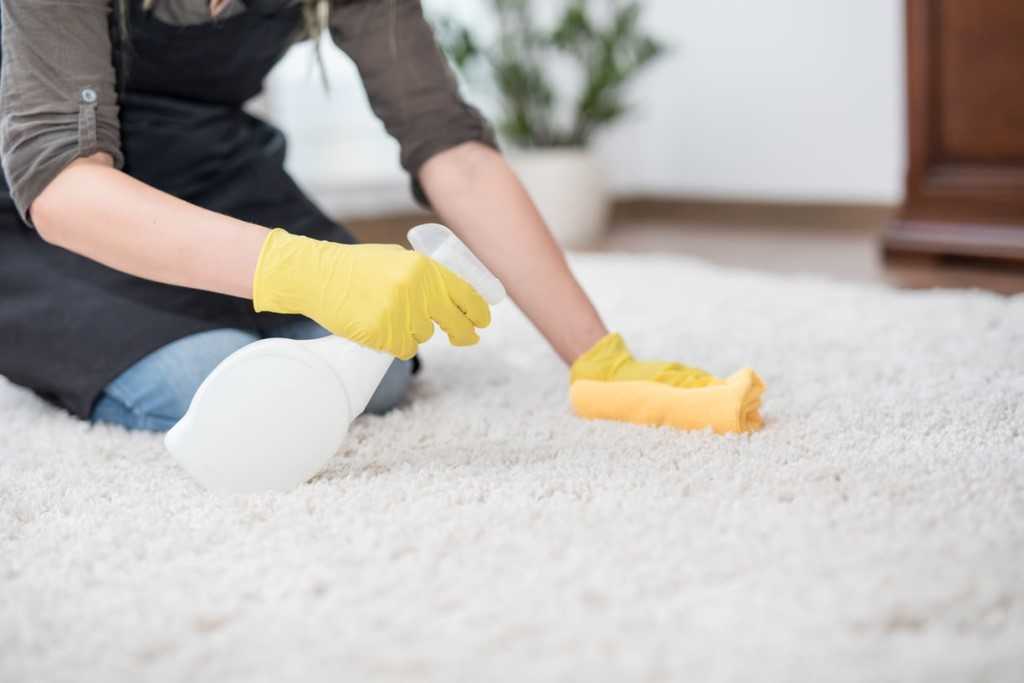 Чистка ковролина в домашних условиях: сухой и влажный способы. средства для чистки ковролина